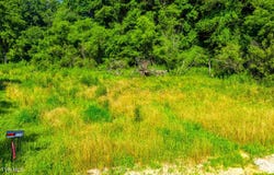115 Willis Road, Rogersville, TN 37857