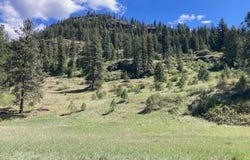 35XX ROCKCUT RD, KETTLE FALLS, WA 99141