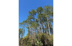 24 BRIGADOON LANE, PALM COAST, FL 32137