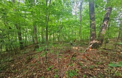 Cruze Rd, Powell, TN 37849