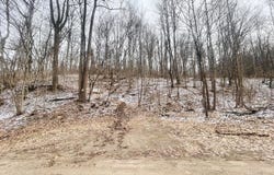 Wells Run Rd, Portland, OH 45770