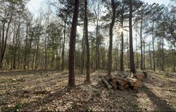 Sol Farm Road, Johns Island, SC 29455