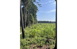 Mahogany Lane, Orangeburg, SC 29115
