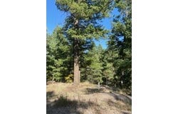 Los Griegos Lot 8-A Road, Jemez Springs, NM 87025
