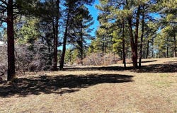 533 Dutton Drive, Pagosa Springs, CO 81147