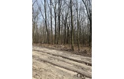 V/L Sycamore Street, Grand Junction, MI 49056