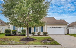 1313 Windsor Pines Court, Leland, NC 28451