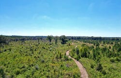 Cal Thomas Road, Whigham, GA 39897