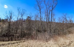0 Locust Hill Rd, Chester, WV 26034