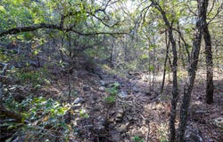 Ward Mt, Santo, TX 76472