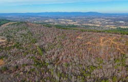 Broomfield Road, Waldron, AR 72958
