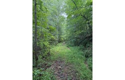 0000 Highway 1569, Wellington, KY 40387