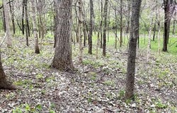1500 Summit On Pond Lane, Wildwood, MO 63038