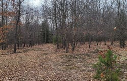300 N 56th Avenue, Mears, MI 49436