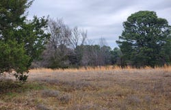 TBD Case Rd, Charleston, AR 72933