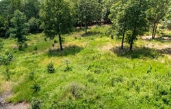 118 Whispering Hill Drive, Blue Eye, MO 65611