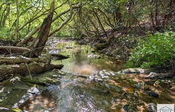 1619 Squirrel Creek Rd, Ararat, VA 24053