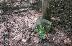 846 Latimer Mill Road, Honea Path, SC 29654