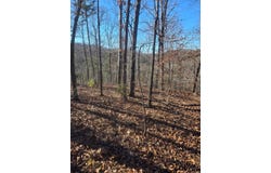 Ruddle Rd, Mountain View, AR 72560