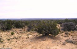 Tbd CR 7411, St. Johns, AZ 85936