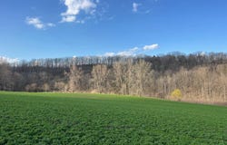 VL Route 39, Gainesville, NY 14066