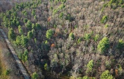 0 Oak Hill Rd, Lowman, NY 14861