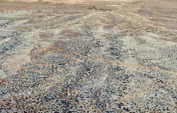 Tbd Cedar Hills 104.79 Acres, St. Johns, AZ 85936