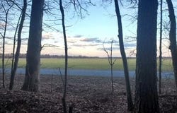 GRAVEL BRANCH Road, HURLOCK, MD 21643
