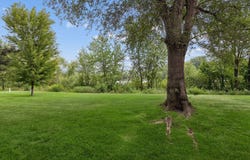 608 Sullivan Drive NE, Columbia Heights, MN 55421