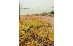 158.2 Acres Along County Road 281, Robertson, WY 82944