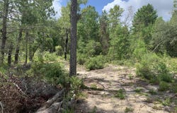 403 LILY Trail, Interlachen, FL 32148