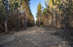 Lot 4 11th Drive, Friendship, WI 53934
