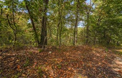 Murphy Drive lot: 13,14, & 15, Bella Vista, AR 72715