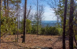 00 Little Cottage Way, Sapphire, NC 28774