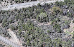 58450 Buzzard Creek Road, Collbran, CO 81624