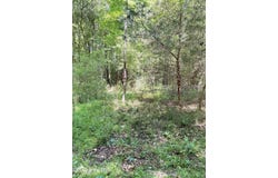 Lot 22 Buckhorn Church Road, Como, NC 27818