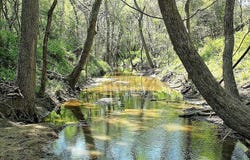 Scott Road, Weimar, TX 78962