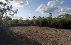 8 Acres Hwy 48 E, Sandy Hook, MS 39478