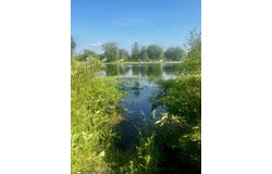 448 Ruby Road, Sheridan, MI 48884