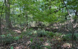 348 A Pat Rich, Canton, GA 30115