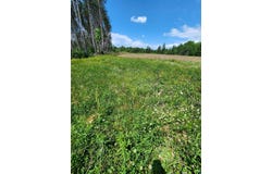 00 N Olson Rd, Hayward, WI 54843