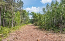 Tract B Polaris, Merrifield, MN 56465