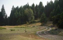 TBD WELLMAN RD, REPUBLIC, WA 99166