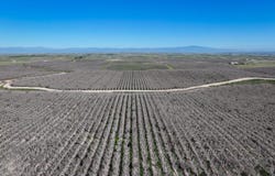 0 Quality Road, Bakersfield, CA 93308