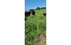 Tbd Us-69 Highway, Lone Oak, TX 75453