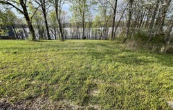 Lot 3 Sunset Point, Scottsville, KY 42164