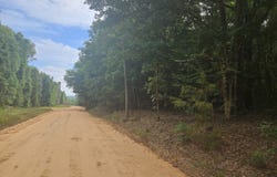 0 Baker Whatley Road, County Road 519, Midland City, AL 36350