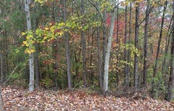 427 Spring Lake, White, GA 30184