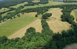 TBD Highway F, Cole Camp, MO 65325