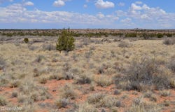 Lot 020g E 24th N Street, Snowflake, AZ 85937